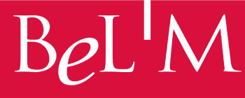 Logo Belm - Boisson Stores - menuiseries extérieures, fenêtres, volets, portes - Clermont-Ferrand et Aubière